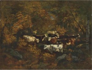 Paysage Et Vaches, Sous-bois Paysage Et Vaches, Sous-bois
