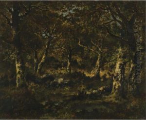 Wooded Scene Wooded Scene