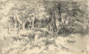 Promeneur Dans Un Bois