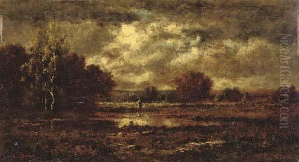 The Forest Of Fontainebleau Near Barbizon - view 1