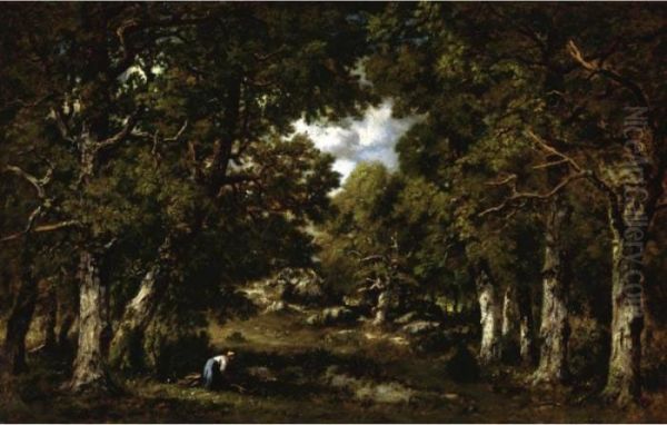 Foret De Fontainebleau - view 1