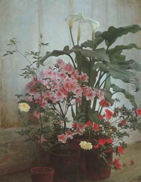 Side of a Greenhouse - view 1