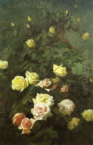 Roses 2