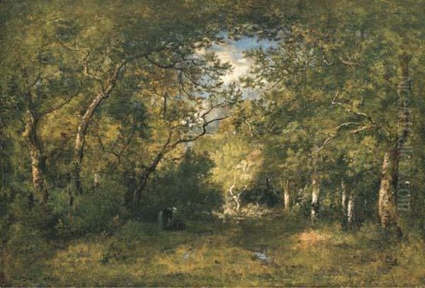 Paysanne Ramassant Du Bois Dans La Foret - view 1