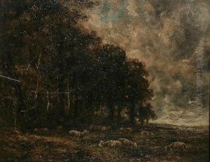 Landscape With Sheep Grazing At The Edge Of A Woodland Landscape With Sheep Grazing At The Edge Of A Woodland