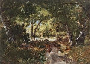 A Pool In A Woodland Clearing A Pool In A Woodland Clearing
