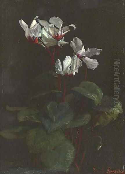 Cyclamen - view 1