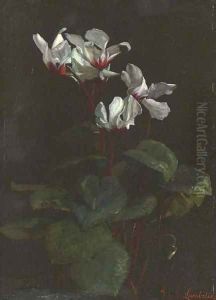 Cyclamen by George Cochran Lambdin