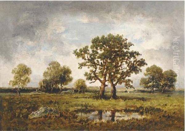 Le Foret De Barbizon - view 1
