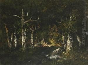 Waldlandschaft Waldlandschaft