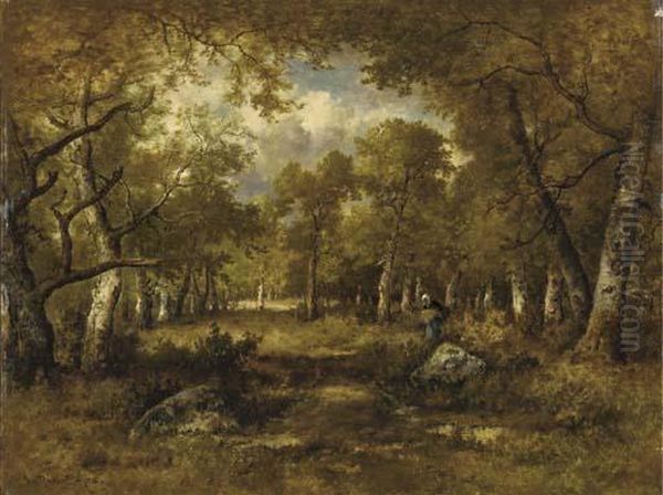 Foret De Fontainebleau - view 1