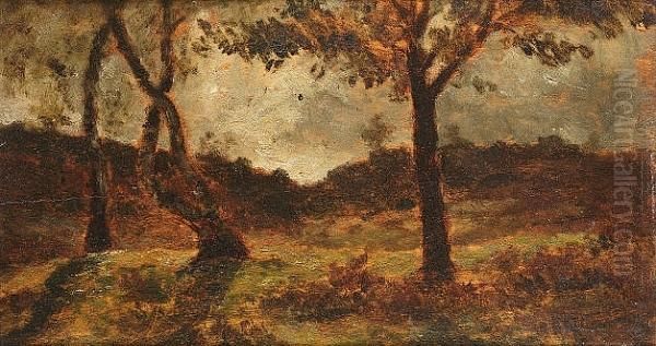 Study Of Trees, Fontainbleau - view 1