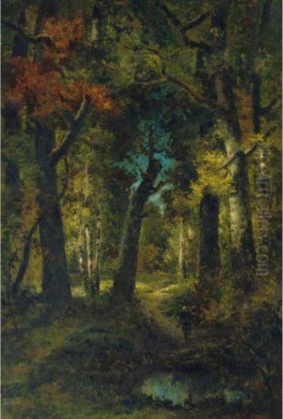 Fagotiere En Foret De Fontainebleau - view 1