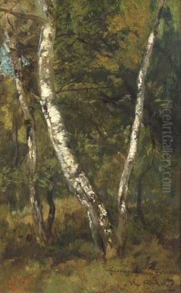 Un Foret - view 1