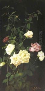 Still Life Roses II