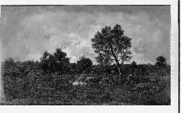 39 X 65 Cm - view 1