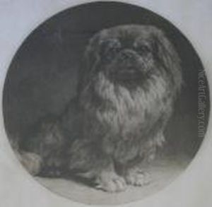 A Pekinese by Herbert Thomas Dicksee