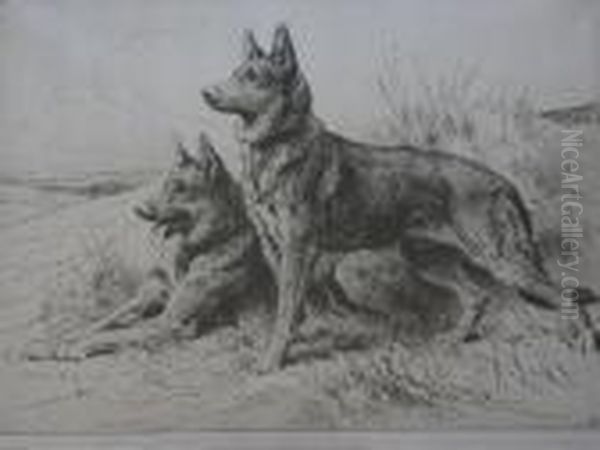 Alsatians - view 1