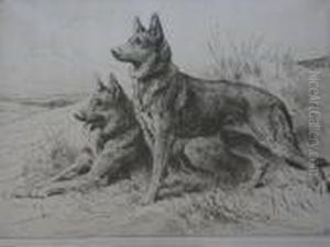Alsatians