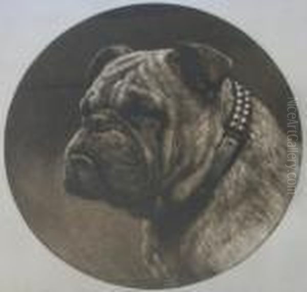 A British Bulldog - view 1