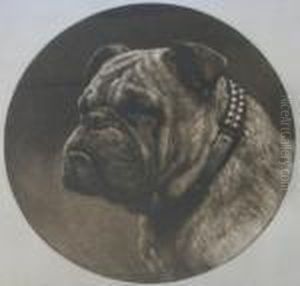 A British Bulldog