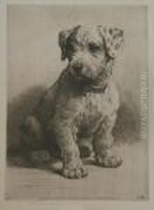 A Sealyham Pup by Herbert Thomas Dicksee