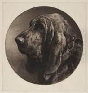 Head Of A Bloodhound by Herbert Thomas Dicksee