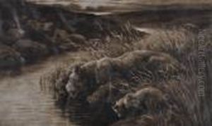Lionsand Cubs Drinking From The River