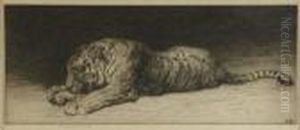 Study Of A Tiger by Herbert Thomas Dicksee