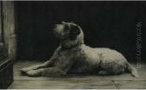 Recumbent Dog