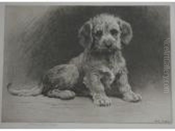 Dandie Pup - view 1