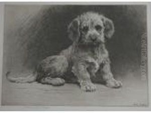 Dandie Pup Dandie Pup