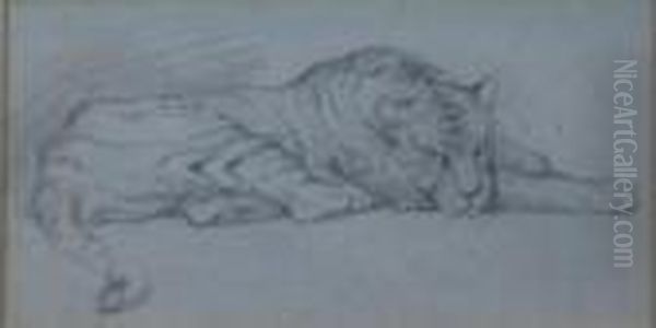 Tiger - view 1