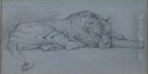 Tiger by Herbert Thomas Dicksee