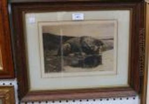 Study Of A Lion Drinking From A River