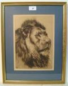 Head And Mane Of A Lion by Herbert Thomas Dicksee
