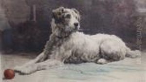 Hand Coloured Etching Of A Dog by Herbert Thomas Dicksee