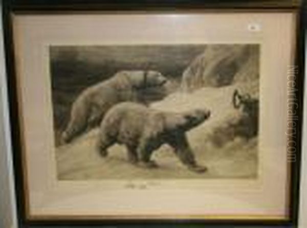 Polar Bears - view 1