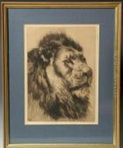Portrait Of A Lion by Herbert Thomas Dicksee