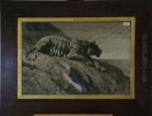 Tiger On A Rock.