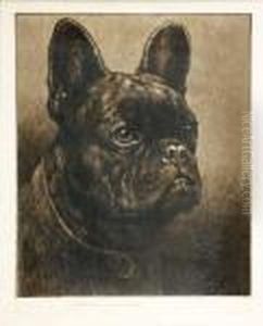 'bunker' A French Bulldog by Herbert Thomas Dicksee