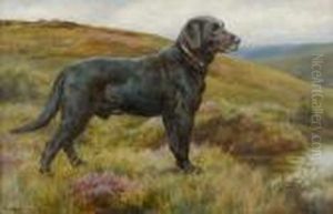 Old Bridge Bob; A Black Labrador Retriever by Herbert Thomas Dicksee