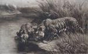 Two Tigers By A Stream by Herbert Thomas Dicksee