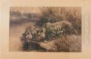 Tigers. by Herbert Thomas Dicksee