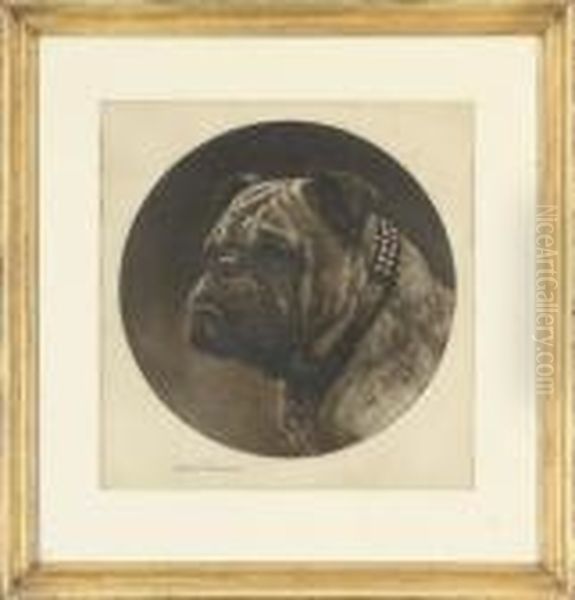 Bulldog - view 1