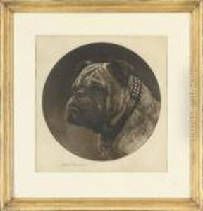 Bulldog by Herbert Thomas Dicksee