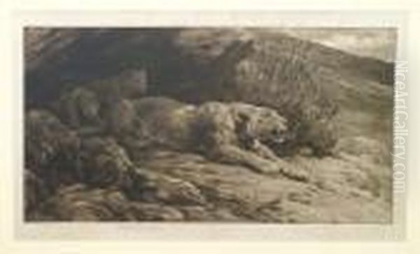 R.e. Lioness And Her Cubs
Beside An Entrance To A Cave Signed Artist's Proof, Published By Frost
& Reed 1910, Black And White Drypoint Etching, 34cm By 56cm - view 1