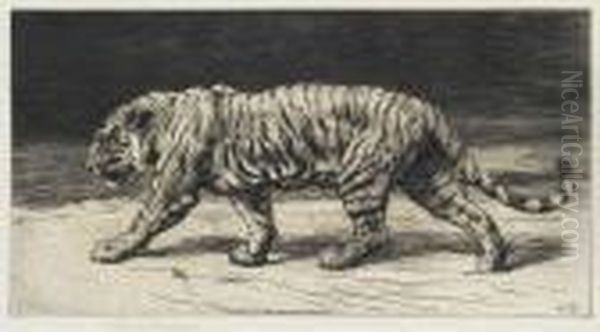 Tiger - view 1