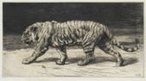 Tiger by Herbert Thomas Dicksee