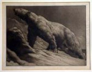 Polar Bear Signed In Pencil And Blindstamped 8 X 10.5in by Herbert Thomas Dicksee